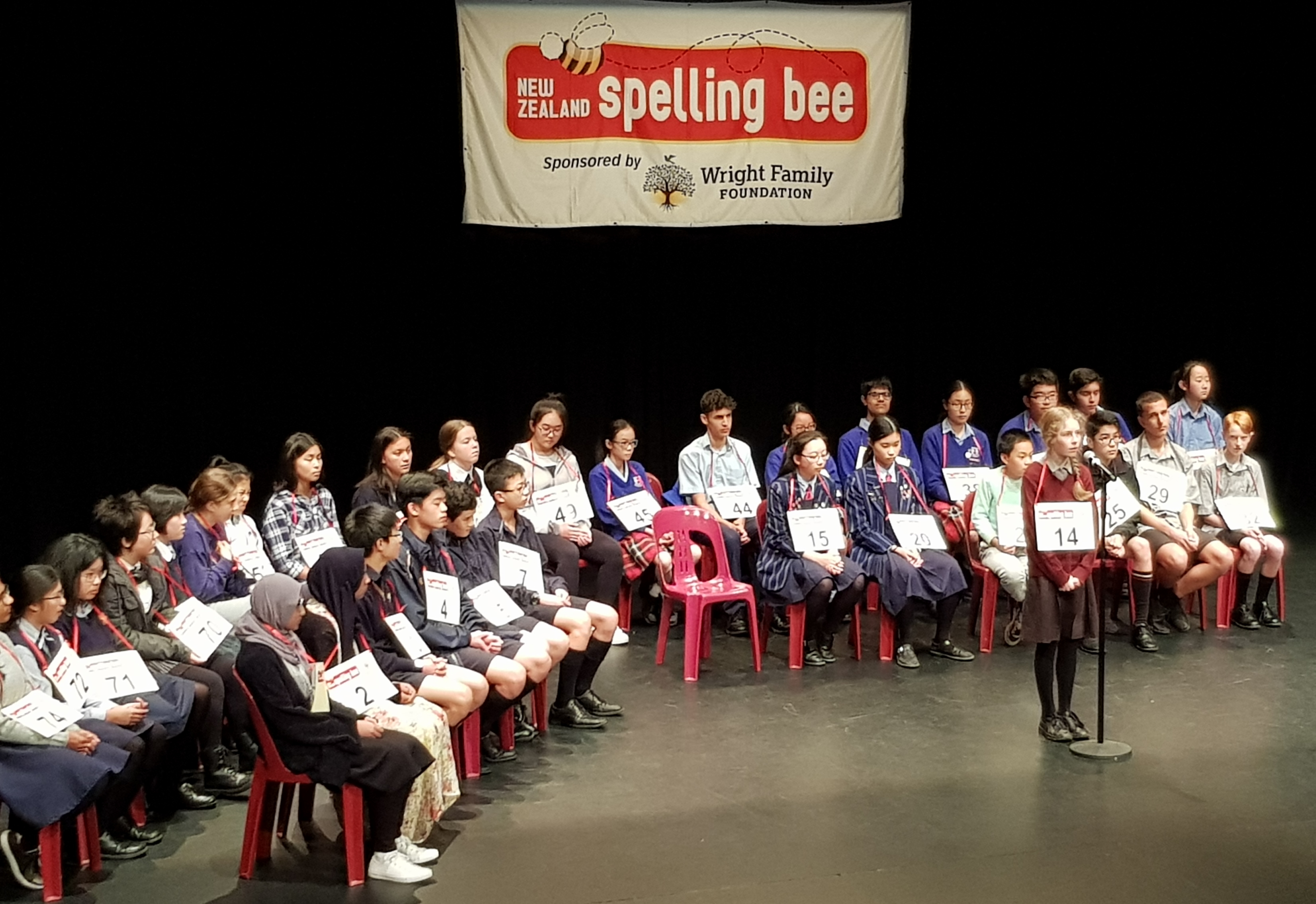 Read more about the article Stung By The Spelling Bee