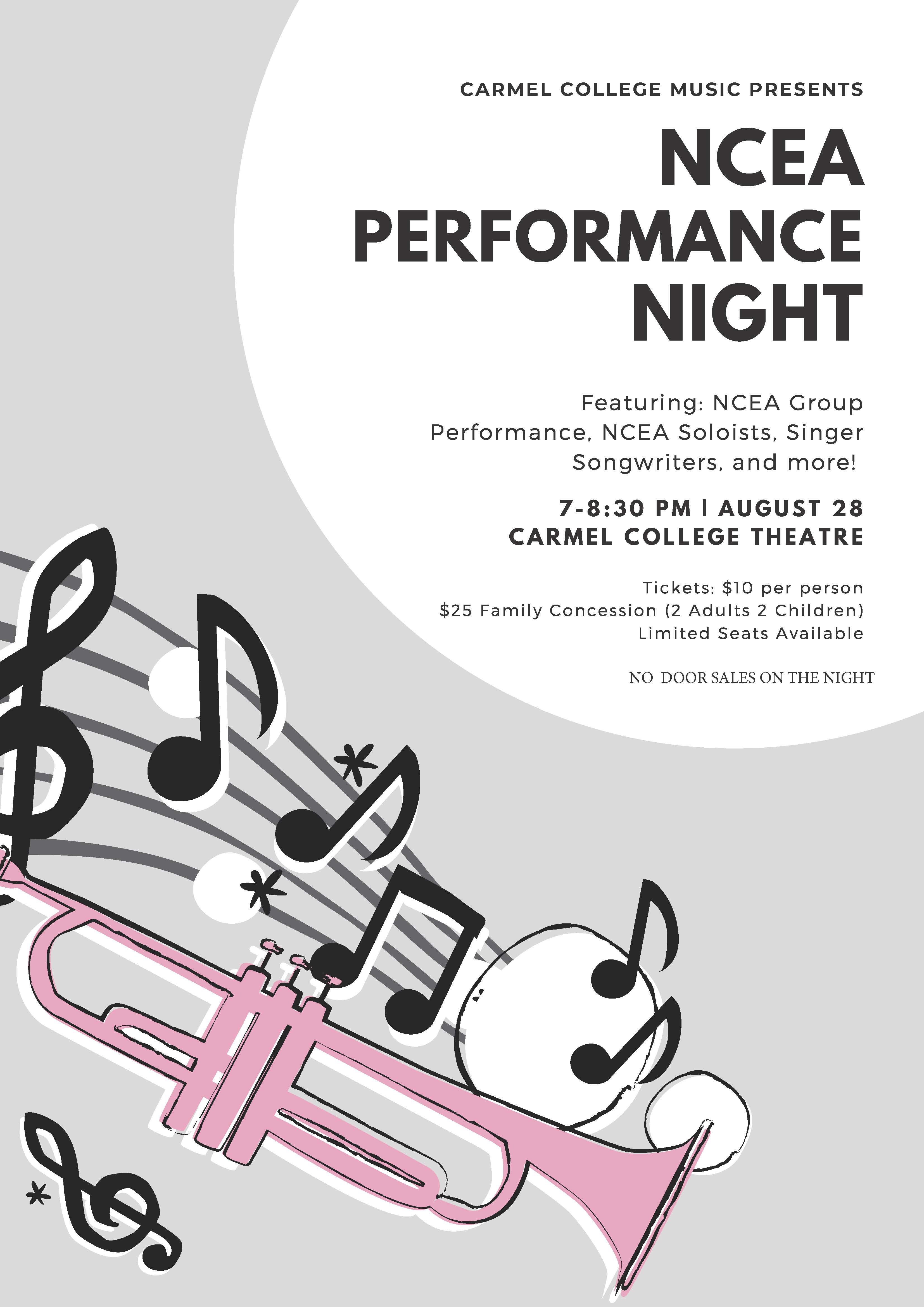 Read more about the article NCEA Music Performance Night