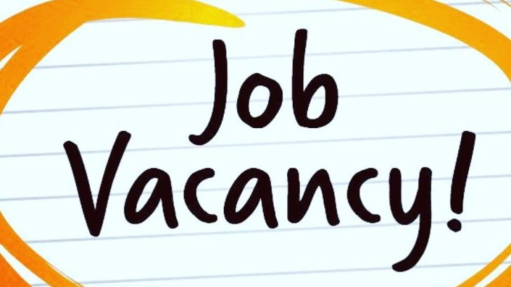Read more about the article Accounts Assistant Vacancy