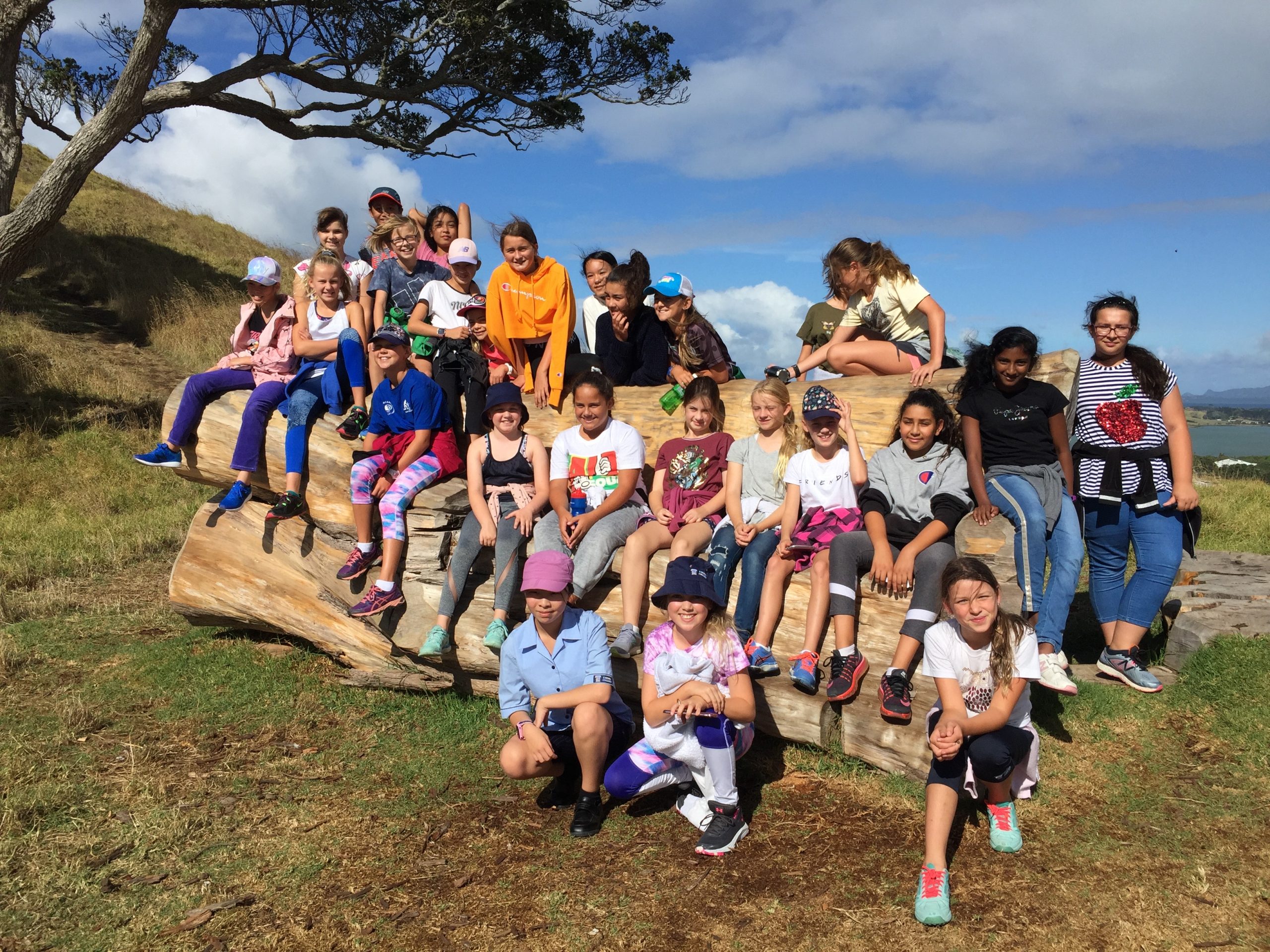 Read more about the article Year 7 Visit Mangere Mountain