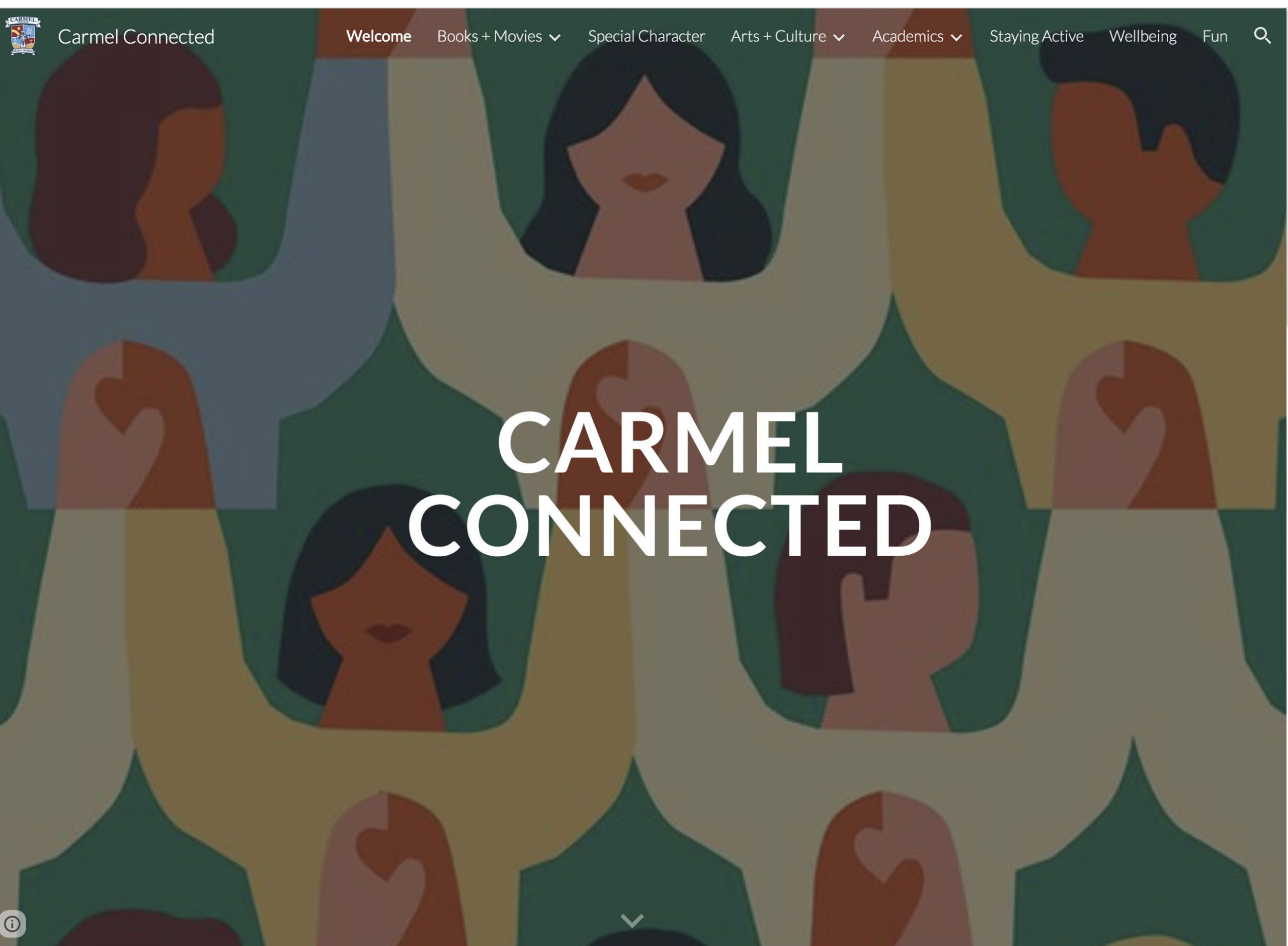 Read more about the article Students Launch Carmel Connected