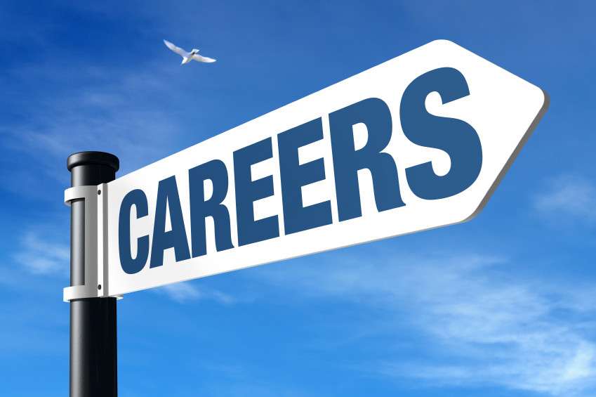 Read more about the article Careers Information