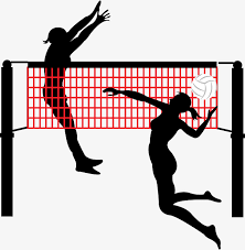 Read more about the article Free Beach Volleyball Sessions For Years 7, 8, 9, 10 and 11s