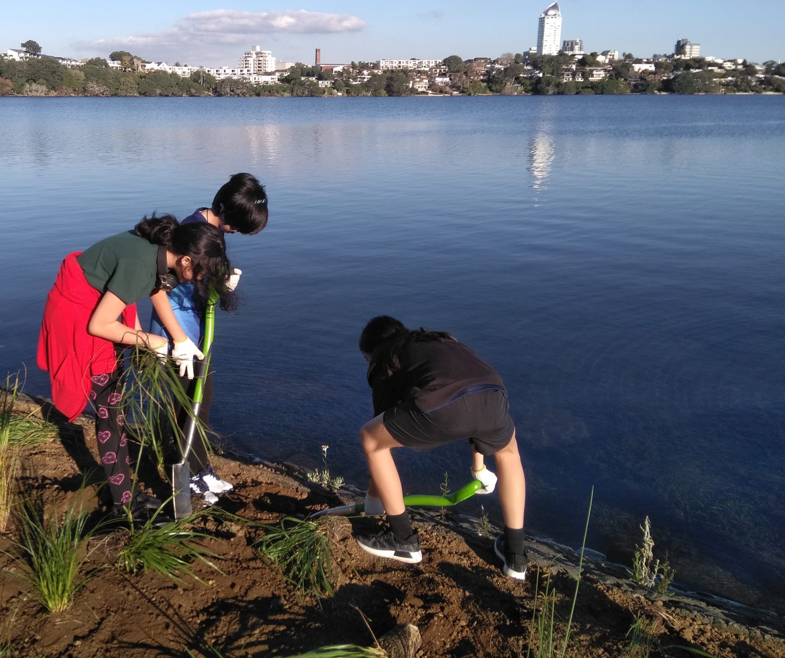 Read more about the article Gardening for Service – Adopt A Park Club