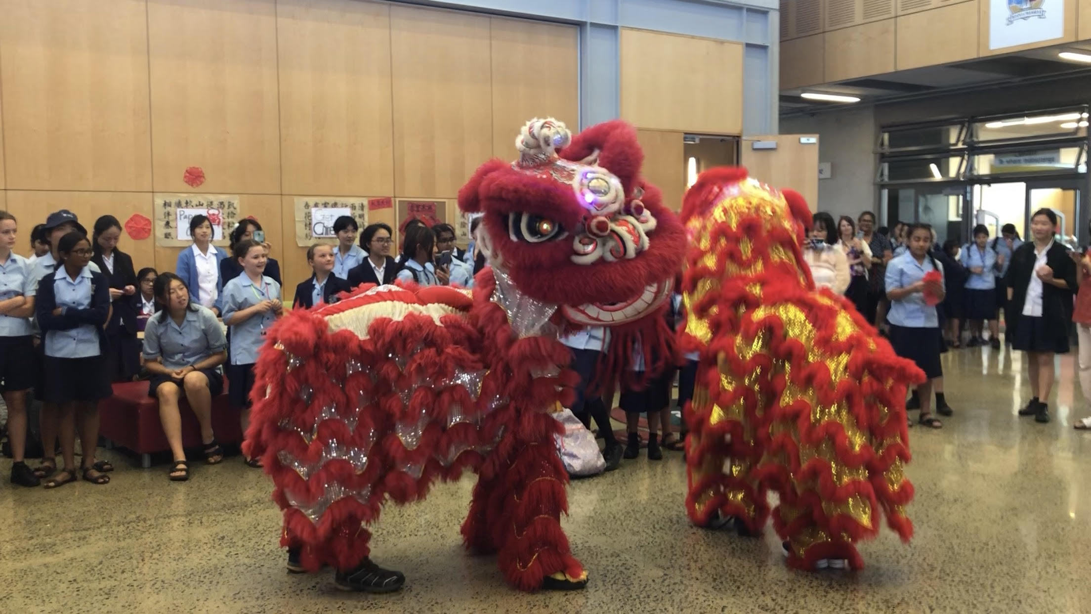 Read more about the article Carmel Celebrates Chinese New Year