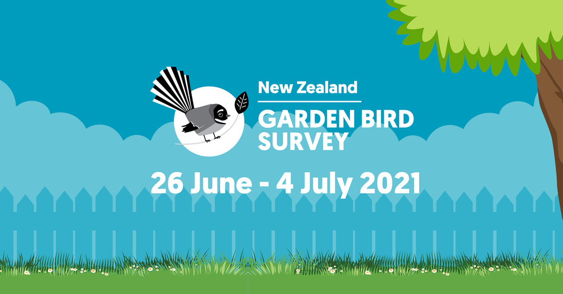 Read more about the article The Great New Zealand Garden Bird Survey