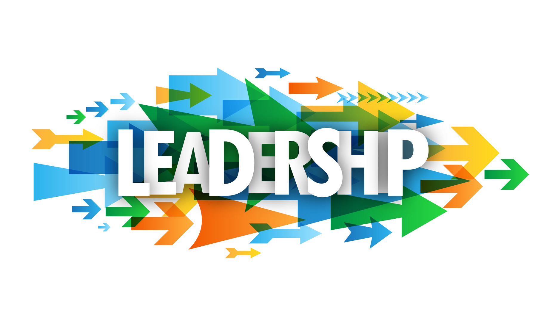 Read more about the article Leadership Literacy for Life Course