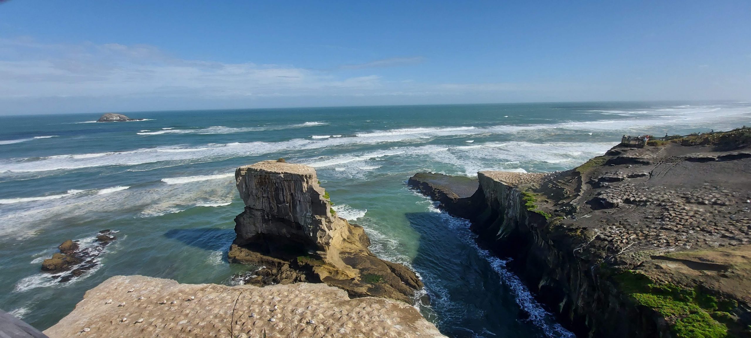 Read more about the article Level 3 Geography Visit Muriwai