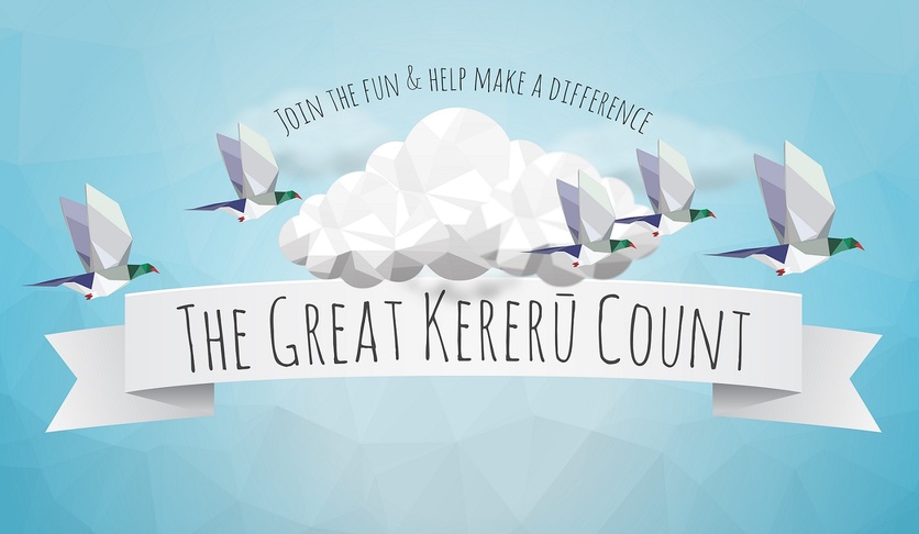 Read more about the article ‘The Great Kererū Count’