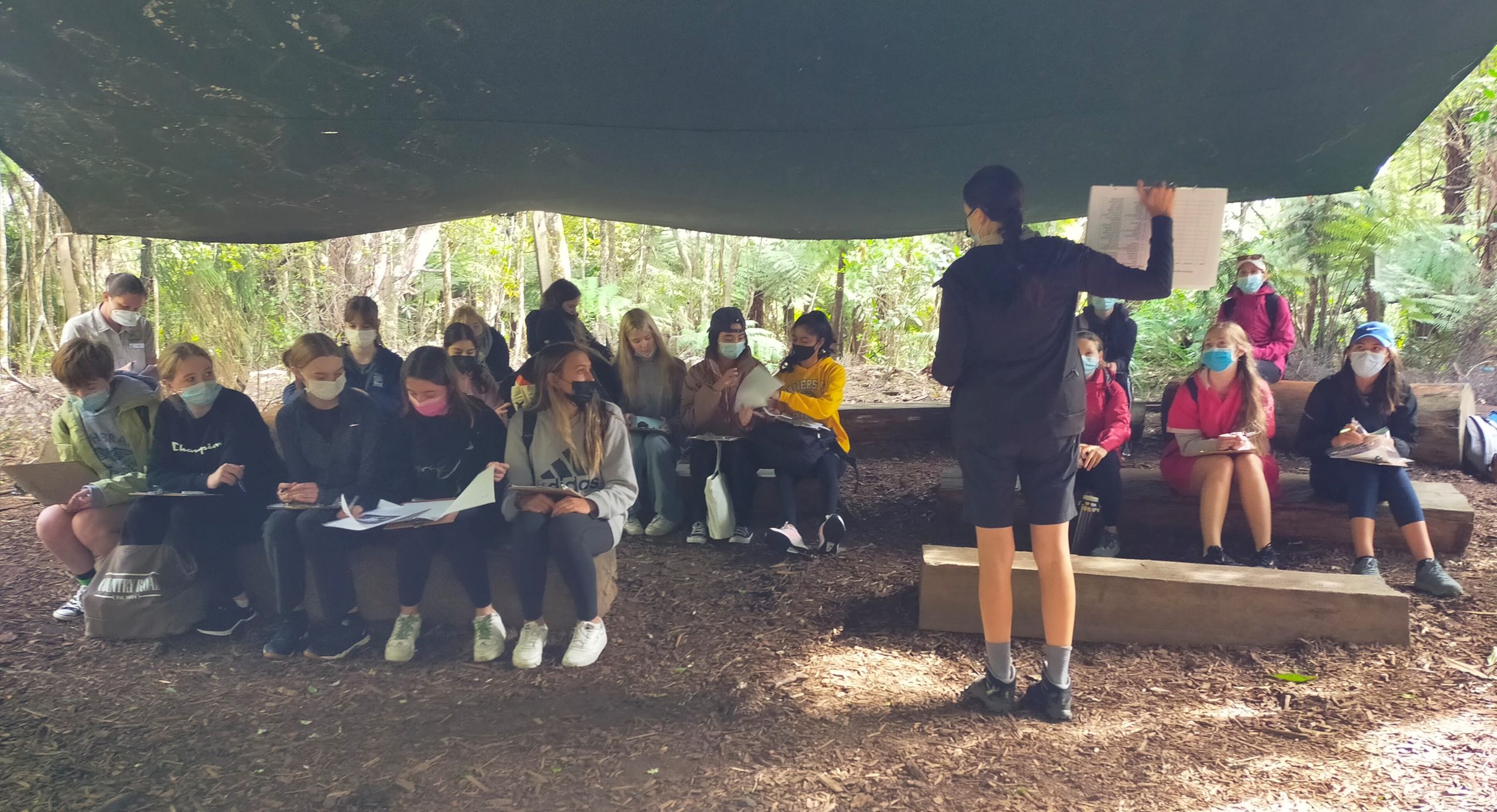 Read more about the article Year 12 Biology Visit to the Waitakeres