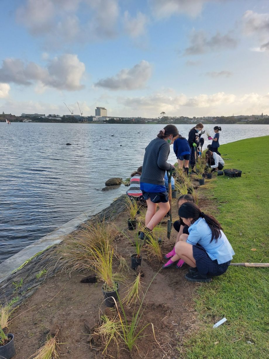 Read more about the article Adopt a Park Activity