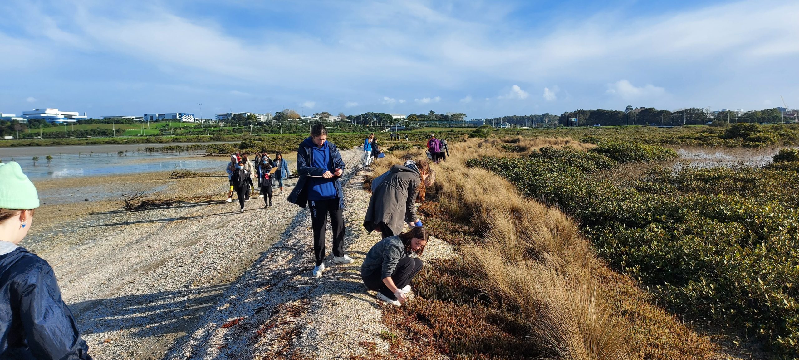 Read more about the article Year 12 Geography Visit North Shore Beaches