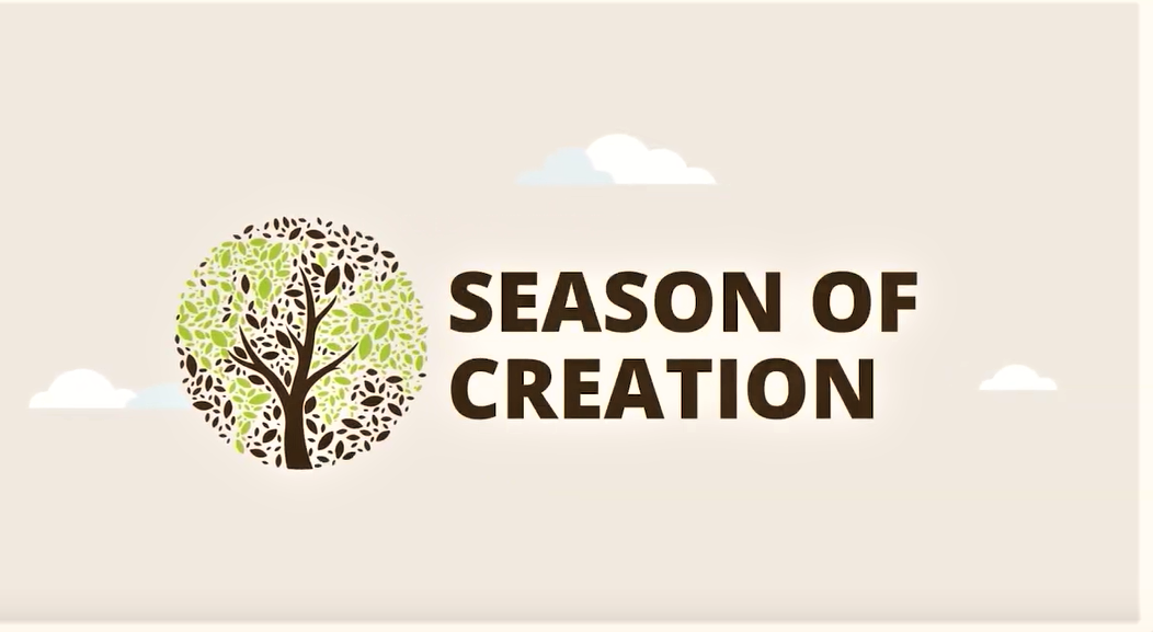 Read more about the article Season of Creation