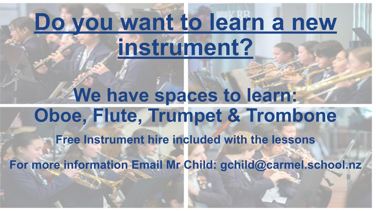 Read more about the article Do You Want to Learn a New Instrument?