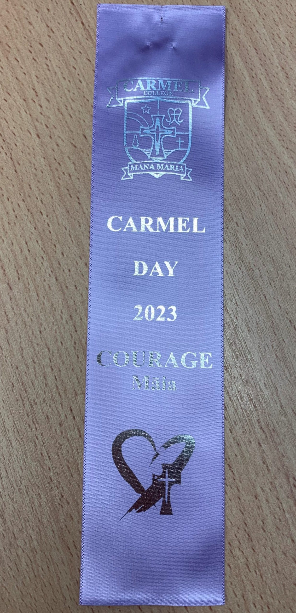 Read more about the article Carmel Day Mercy Awards 2023
