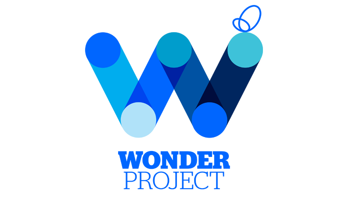Read more about the article Year 8 Wonder Project