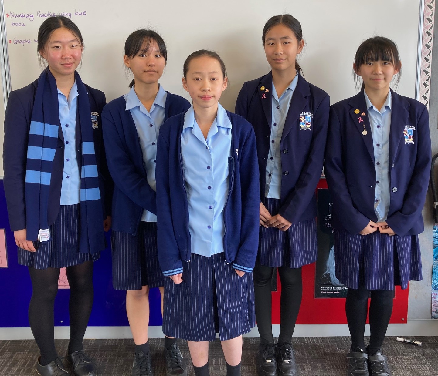 Read more about the article Australian Mathematics Competition Results