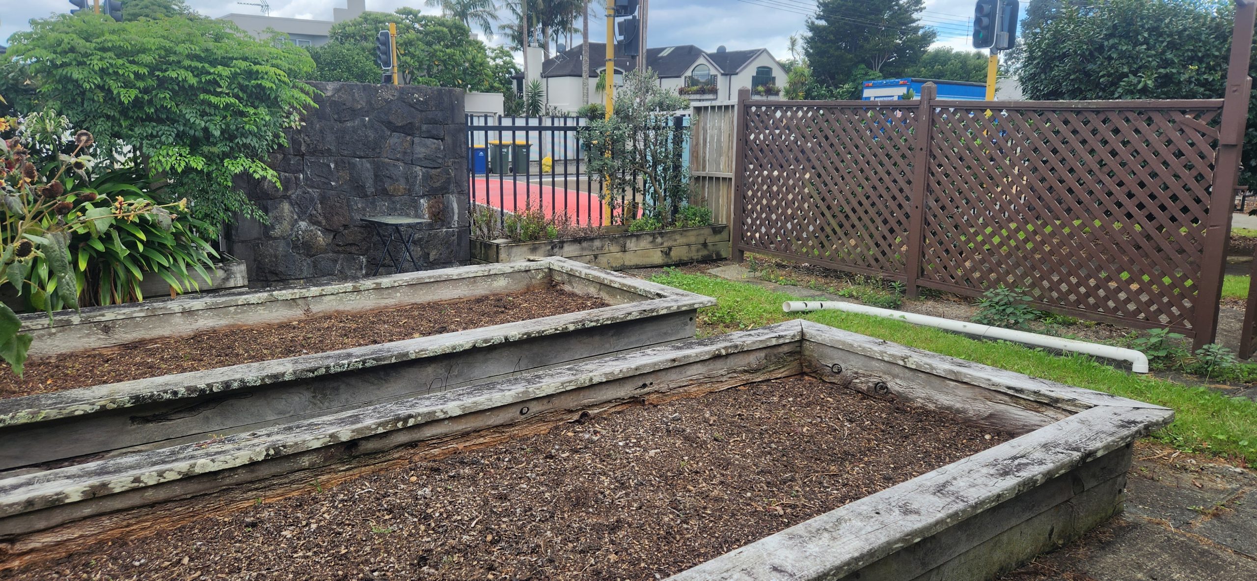 Read more about the article Can You Help Our Garden Grow?
