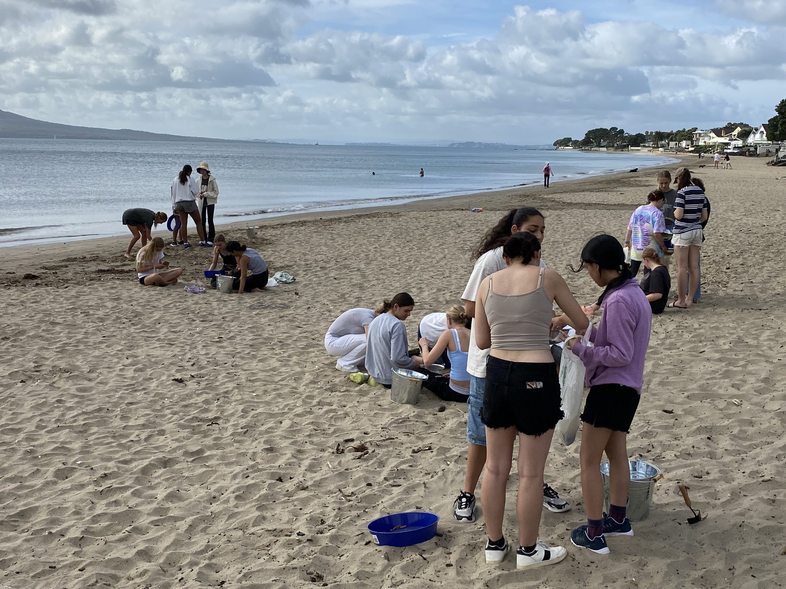 Read more about the article Geography Field Work on Milford Beach