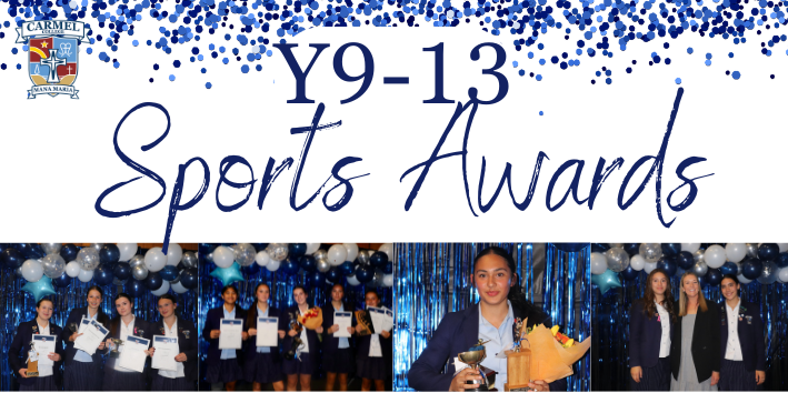Read more about the article 2024 Sports Awards