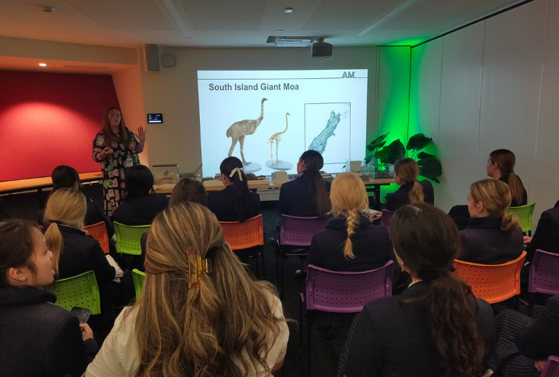 Read more about the article Year 13 Bio Museum Trip