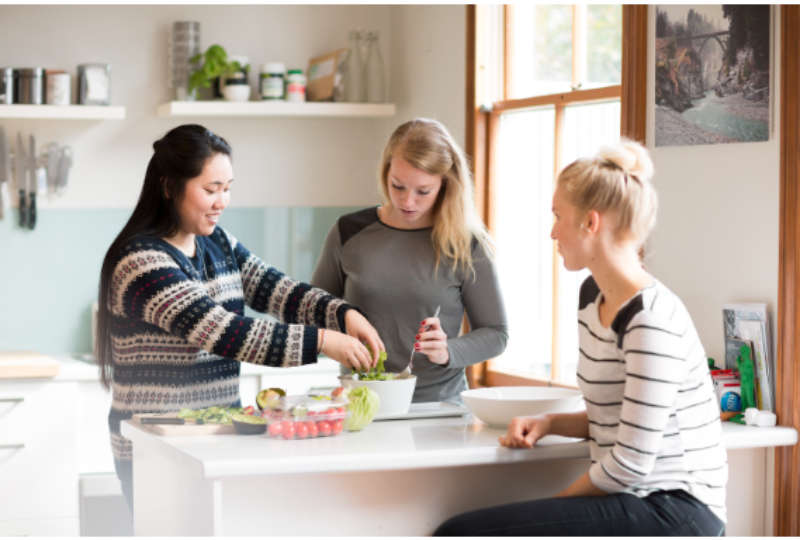 Read more about the article 2026 Homestays Wanted:  $420-470 per week!