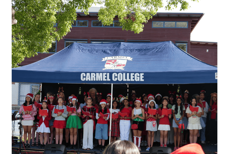 Read more about the article Twilight Christmas by the Lake – A Night to Remember   